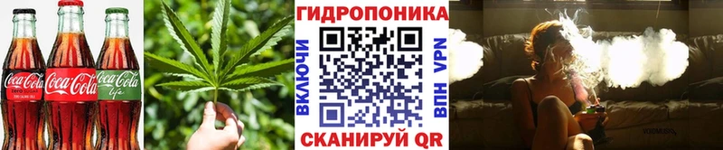 Canna-Cookies конопля купить Радужный