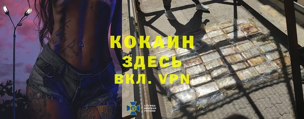 дживик Балахна