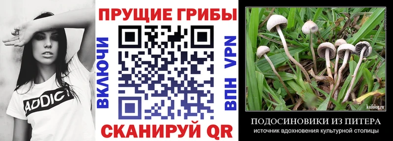 Галлюциногенные грибы мухоморы  Радужный 