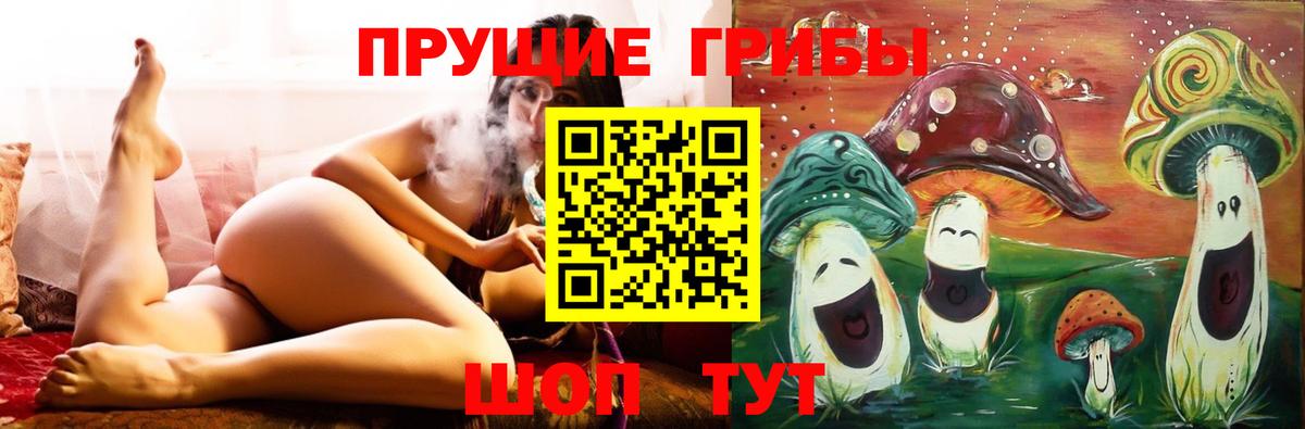 Галлюциногенные грибы GOLDEN TEACHER  Вход с VPN  Радужный  Псилоцибиновые грибы мицелий 